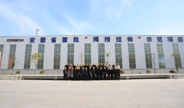 揭榜掛帥項(xiàng)目通過驗(yàn)收！海螺集團(tuán)低碳技術(shù)攻關(guān)成果再添一筆