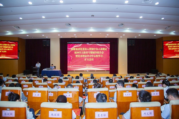 海螺集團黨委召開深入貫徹中央八項規(guī)定精神學(xué)習(xí)教育專題輔導(dǎo)報告會暨黨委理...